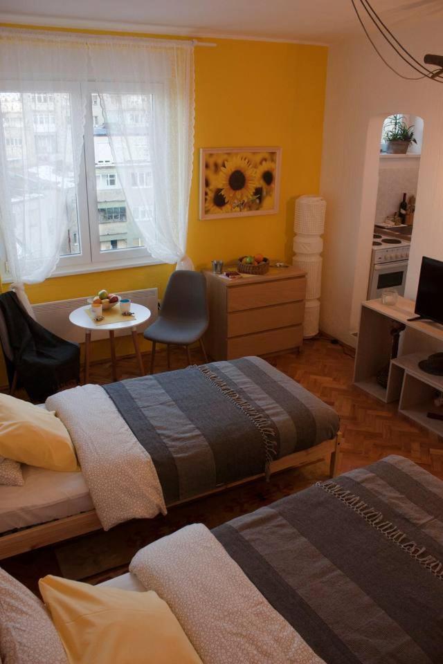 Bgmignonne, So Cozy, So Relaxing, So Near Center Διαμέρισμα Βελιγράδι Εξωτερικό φωτογραφία